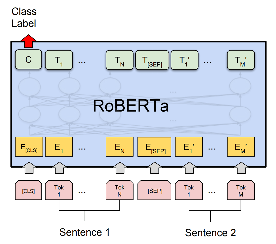 Sooftware NLP - RoBERTa Paper Review cover image